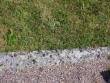 image of grave number 795982